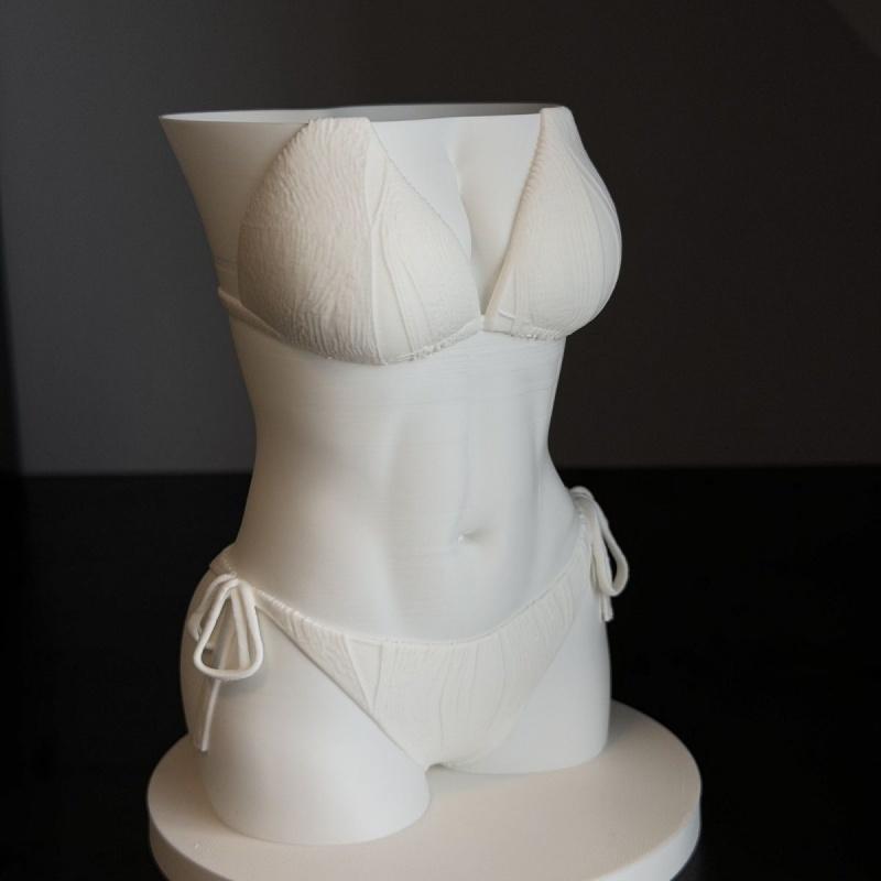 NIEUWE Bikini Lichaam Penhoude - 3D Printing Pot recensie en prijs