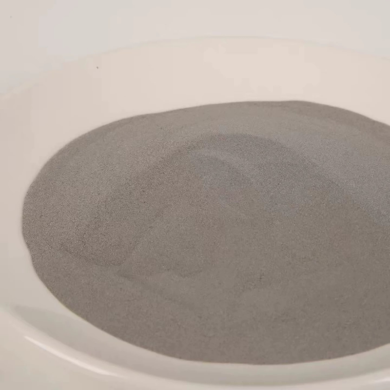 500g 304 roestvrij staalpoeder - 3D Printing Stainless Steel recensie en prijs