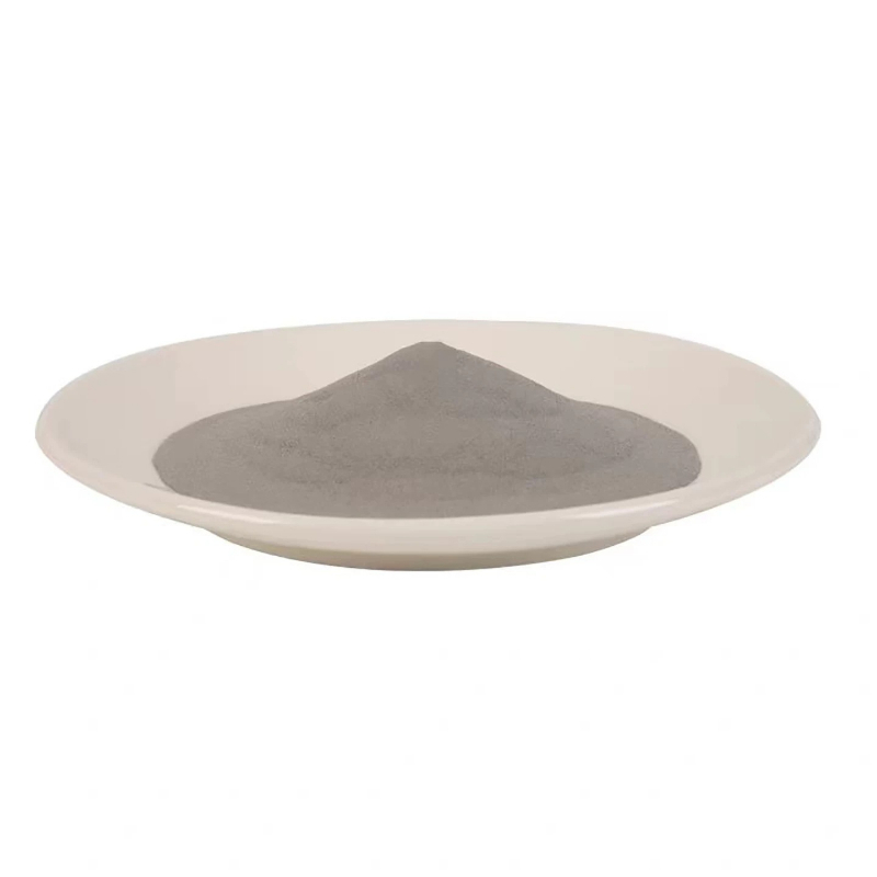 500g 304 roestvrij staalpoeder - 3D Printing Stainless Steel recensie en prijs