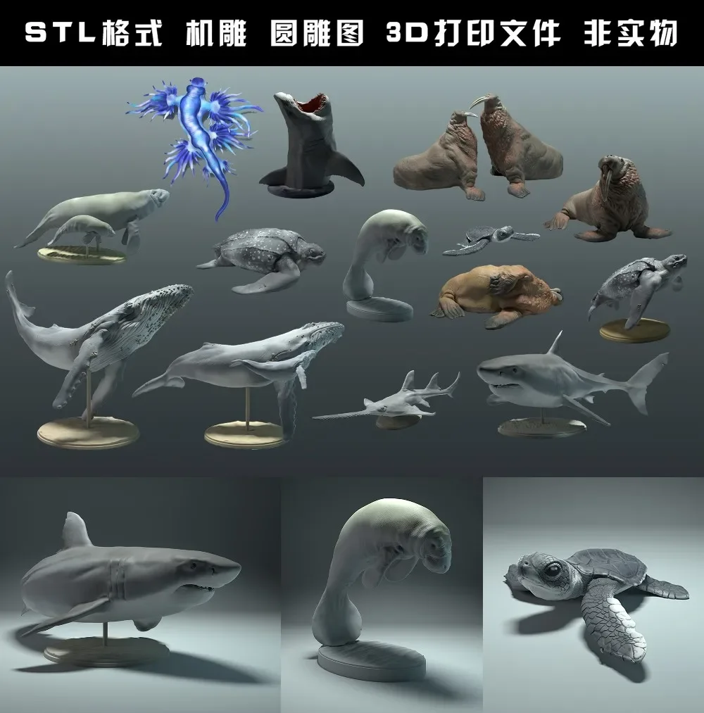 Dieren, Ijsbeer, Takin, Wolf,  - 3D Printing Rabbit recensie en prijs