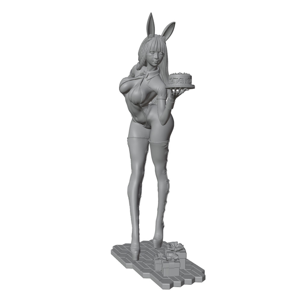 1/24/12/6 Themafeest van de fe - 3D Printing Rabbit recensie en prijs