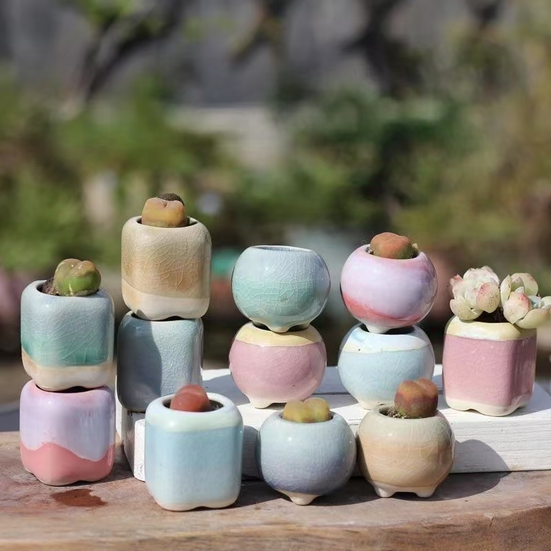 6 Stuks Mini Bloempot Vetplant - 3D Printing Pot recensie en prijs