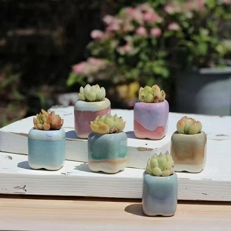 6 Stuks Mini Bloempot Vetplant - 3D Printing Pot recensie en prijs